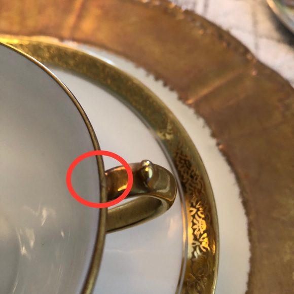 EUC- Nearly Pristine & Rare GDA France Haviland Limoges Calvados Teacup & Saucer - Picture 14 of 14